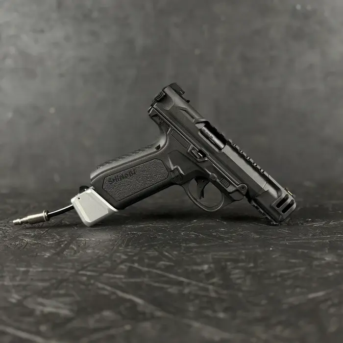 T1P_AAP_SSA_Raw_RIF_bkg.webp